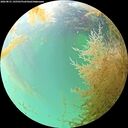 ./images/calvert/underwater/20260831/underwater20260831_145501M.jpg
