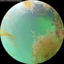 ./images/calvert/underwater/20260831/underwater20260831_150001M.jpg