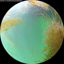 ./images/calvert/underwater/20260831/underwater20260831_150501M.jpg