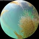 ./images/calvert/underwater/20260831/underwater20260831_151502M.jpg