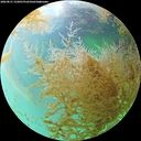 ./images/calvert/underwater/20260831/underwater20260831_152001M.jpg