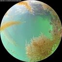 ./images/calvert/underwater/20260831/underwater20260831_153002M.jpg