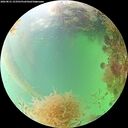 ./images/calvert/underwater/20260831/underwater20260831_153501M.jpg