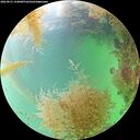 ./images/calvert/underwater/20260831/underwater20260831_154001M.jpg