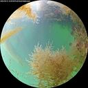./images/calvert/underwater/20260831/underwater20260831_154501M.jpg