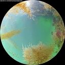 ./images/calvert/underwater/20260831/underwater20260831_155501M.jpg