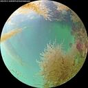 ./images/calvert/underwater/20260831/underwater20260831_160001M.jpg