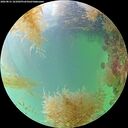 ./images/calvert/underwater/20260831/underwater20260831_161002M.jpg