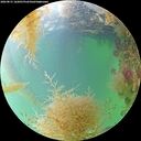./images/calvert/underwater/20260831/underwater20260831_162001M.jpg