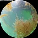 ./images/calvert/underwater/20260831/underwater20260831_162501M.jpg