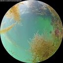 ./images/calvert/underwater/20260831/underwater20260831_163001M.jpg