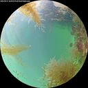 ./images/calvert/underwater/20260831/underwater20260831_164501M.jpg
