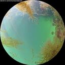 ./images/calvert/underwater/20260831/underwater20260831_165501M.jpg