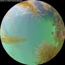 ./images/calvert/underwater/20260831/underwater20260831_170001M.jpg