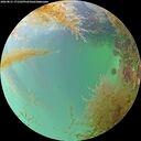 ./images/calvert/underwater/20260831/underwater20260831_171502M.jpg