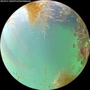 ./images/calvert/underwater/20260831/underwater20260831_180001M.jpg