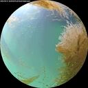 ./images/calvert/underwater/20260831/underwater20260831_182002M.jpg