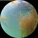 ./images/calvert/underwater/20260831/underwater20260831_183001M.jpg