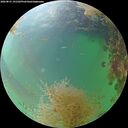 ./images/calvert/underwater/20260831/underwater20260831_191502M.jpg