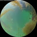 ./images/calvert/underwater/20260831/underwater20260831_193001M.jpg