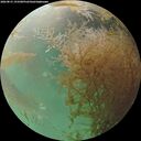 ./images/calvert/underwater/20260831/underwater20260831_193501M.jpg