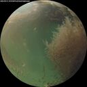 ./images/calvert/underwater/20260831/underwater20260831_195501M.jpg