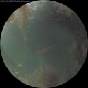 ./images/calvert/underwater/20260831/underwater20260831_203501M.jpg