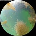 ./images/calvert/underwater/20260901/underwater20260901_081501M.jpg