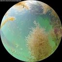 ./images/calvert/underwater/20260901/underwater20260901_082501M.jpg