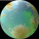 ./images/calvert/underwater/20260901/underwater20260901_092501M.jpg