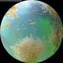 ./images/calvert/underwater/20260901/underwater20260901_093002M.jpg