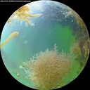 ./images/calvert/underwater/20260901/underwater20260901_094001M.jpg