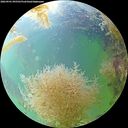 ./images/calvert/underwater/20260901/underwater20260901_095501M.jpg
