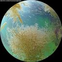 ./images/calvert/underwater/20260901/underwater20260901_103001M.jpg