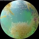 ./images/calvert/underwater/20260901/underwater20260901_104002M.jpg