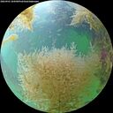 ./images/calvert/underwater/20260901/underwater20260901_104501M.jpg