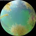 ./images/calvert/underwater/20260901/underwater20260901_110501M.jpg
