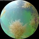 ./images/calvert/underwater/20260901/underwater20260901_111502M.jpg