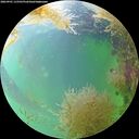 ./images/calvert/underwater/20260901/underwater20260901_115501M.jpg