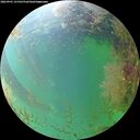 ./images/calvert/underwater/20260901/underwater20260901_131501M.jpg