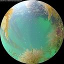 ./images/calvert/underwater/20260901/underwater20260901_134002M.jpg