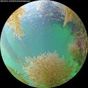 ./images/calvert/underwater/20260901/underwater20260901_141001M.jpg