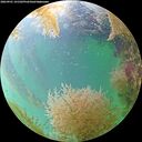 ./images/calvert/underwater/20260901/underwater20260901_141501M.jpg