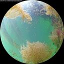 ./images/calvert/underwater/20260901/underwater20260901_142001M.jpg