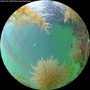 ./images/calvert/underwater/20260901/underwater20260901_144002M.jpg