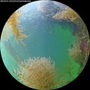 ./images/calvert/underwater/20260901/underwater20260901_145501M.jpg
