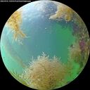 ./images/calvert/underwater/20260901/underwater20260901_150501M.jpg
