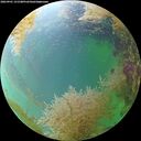 ./images/calvert/underwater/20260901/underwater20260901_151501M.jpg