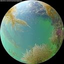 ./images/calvert/underwater/20260901/underwater20260901_152501M.jpg
