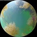 ./images/calvert/underwater/20260901/underwater20260901_161001M.jpg